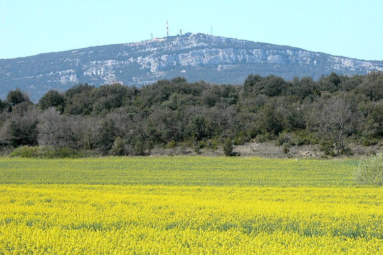 Guidon du Bouquet (Gard) - Mont Bouquet à l’horizon
