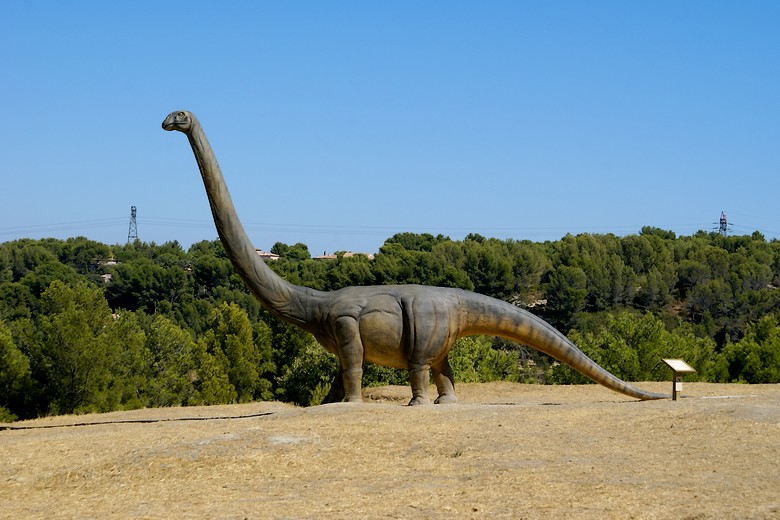Istres (Bouches-du-Rhône) - Oppidum du Castellan : Un dinosaure