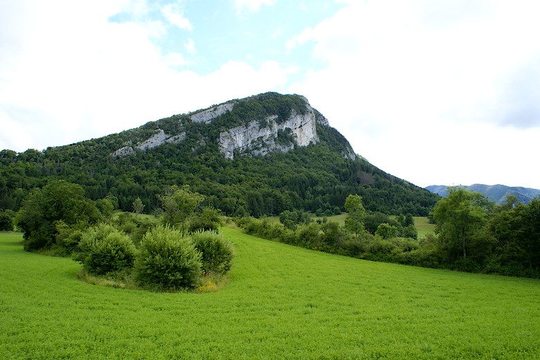 La Chapelle-en-Vercors (Drôme) - Rocher en direction de la forêt de Lente