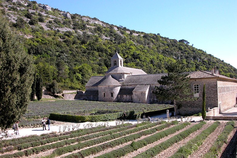 Abbaye de Sénanque (Vaucluse) - Vue d'ensemble du site