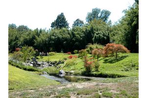 Au jardin