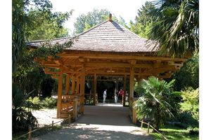 Autre déco asiatique