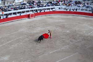 Zoom sur une scène de matador