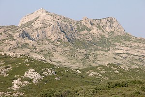Les Opies