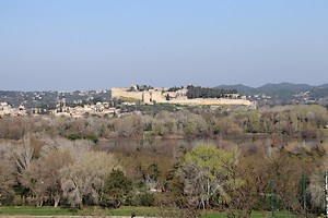 Villeneuve-lès-Avignon : Fort Saint-André à l'horizon