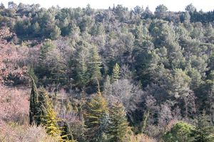 Site naturel aux alentours