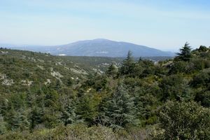 Vue au coeur de la montagne du Luberon