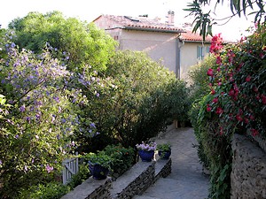 Une ruelle fleurie