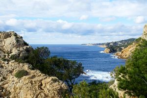 Dans les hauteurs des rochers