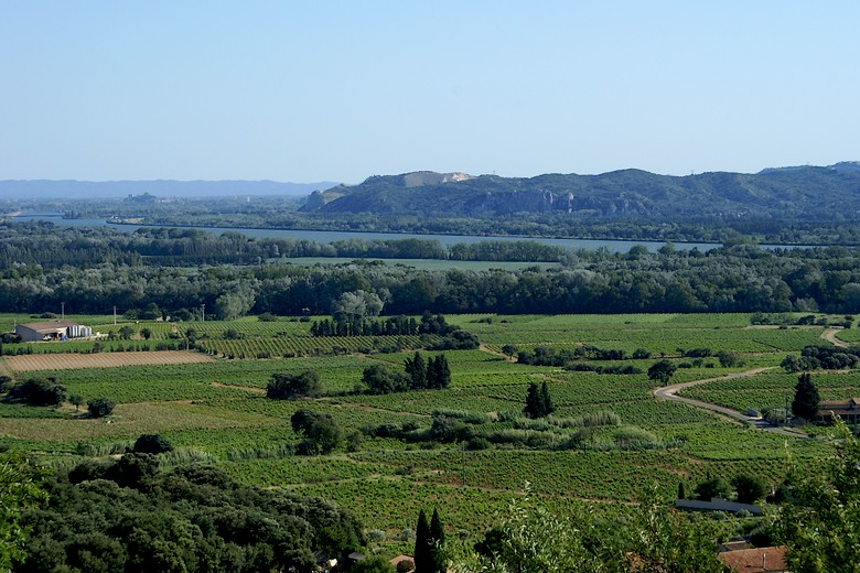 Paysage viticole avec vue sur le Rhône