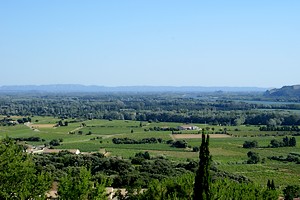 Paysage viticole avec une partie de la chaine des Alpilles à l'horizon