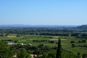 Paysage viticole dans le sud du village