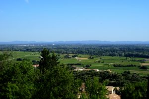 Paysage viticole avec la chaine des Alpilles à l'horizon