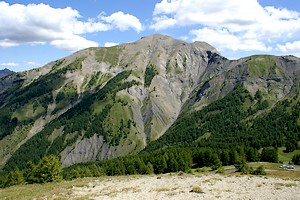 Au pied du Grand Cheval de Bois