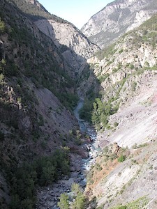 Au coeur de la combe