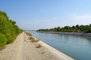 Au bord du canal E.D.F.