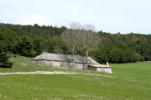 Au pied du Jas rencontré en contrebas de la crête