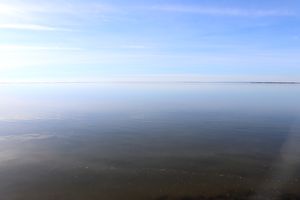 Point de vue sur l'étang