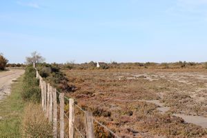 Aperçu d'une maison camarguaise