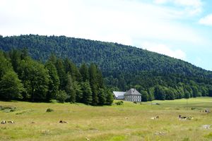 Autre massif forestier environnant