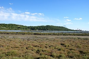 Vue vers le sud-est de l'étang