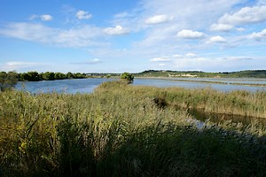 Marais au pied du village de l'Hauture