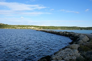 Une digue au coeur de l'étang