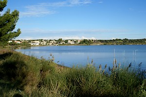 Retour au nord de l'étang