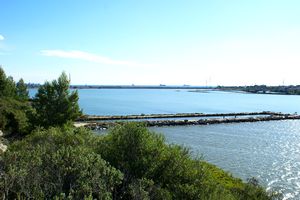 Aperçu du sud de l'étang de l'Estomac