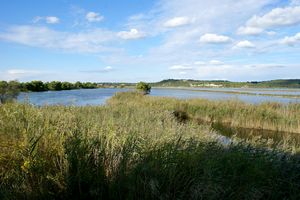 Marais au pied du village de l'Hauture
