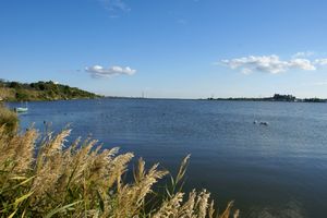 Au nord de l'étang de l'Estomac