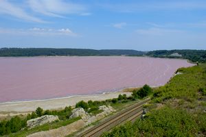 Partie sud de l'étang
