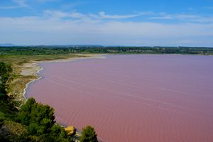 Vue plus étendue sur la partie nord de l'étang de Lavalduc
