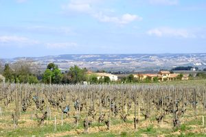 Paysage en direction de la ville d'Orange