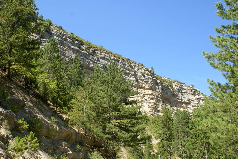 Rochers dominant les gorges