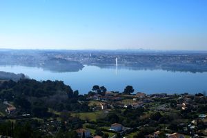 Vue sur l'étang de l'Olivier