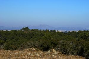Chaîne des Alpilles à l'horizon