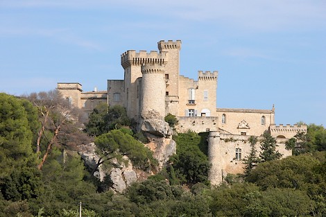 Vue d'ensemble du Château