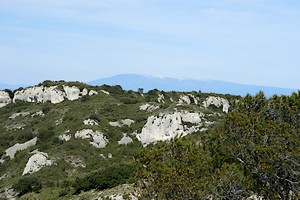 Aperçu du Mont Ventoux