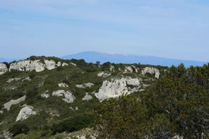 Aperçu du Mont Ventoux