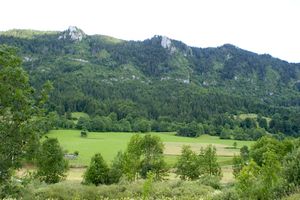 Autre point de vue en direction de la forêt de Lente