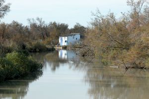 Chenal avec cabane de pêcheurs à l'horizon
