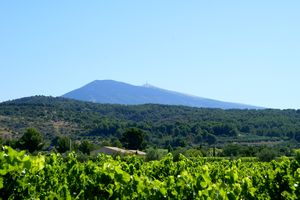 Le Mont Ventoux à l'horizon