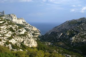 Dans les hauteurs de la calanque de Morgiou