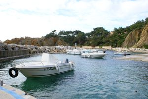 Au coeur du petit port