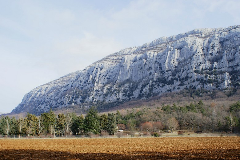 Massif de la Sainte-Baume (Var) - Au pied du relief