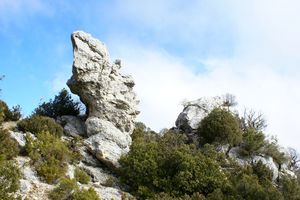 Rocher de forme spéciale