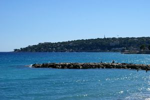 Zoom sur Cap Martin