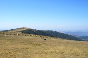 Parc National des Cévennes à l'horizon