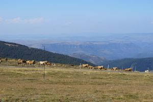 Parc National des Cévennes à l'horizon